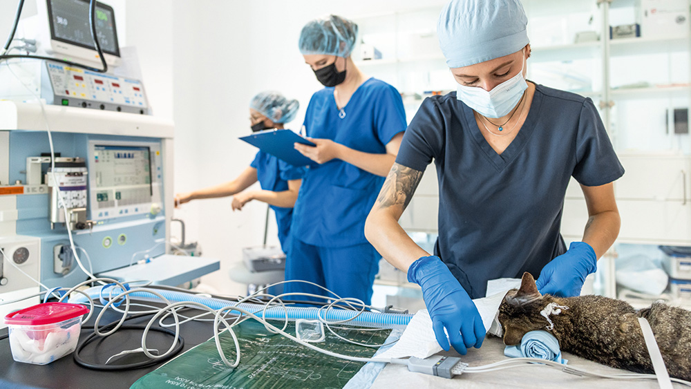 Postoperative Behandlung Nach Stationärer Op Prävention postoperativer Wundinfektionen