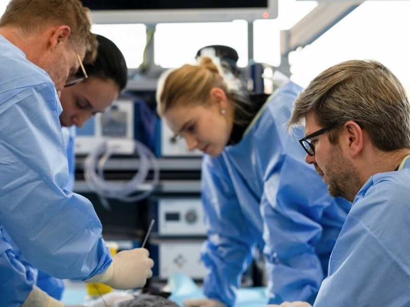 Illustrative Darstellung einer veterinärmedizinischen Behandlungssituation mit Operationstisch, OP‑Leuchte und Infusionsständer.
