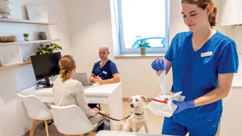 Tierärztliches Personal führt eine Flächendesinfektion durch, indem ein Behandlungsbereich in einer klinischen Umgebung mit Desinfektionstüchern abgewischt wird, während sich ein Hund in der Nähe befindet.